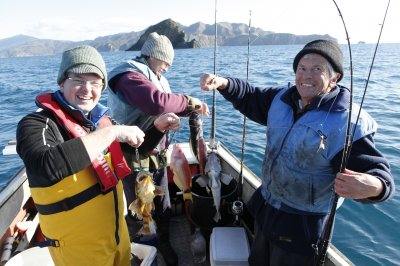 Tasman_Bay_winter_2011.JPG